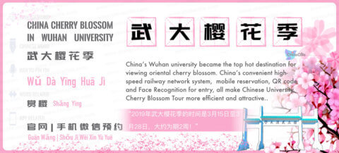 Say Wuhan University’s Cherry Blossom in Chinese: <br />武大樱花季 (wǔ dà yīng huā jì) <br />| Free Chinese Word Study with Pinyin