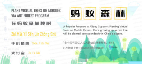 Say Ant Forest in Chinese: <br />蚂蚁森林 (mǎ yǐ sēn lín) <br />| Free Chinese Word Study with Pinyin