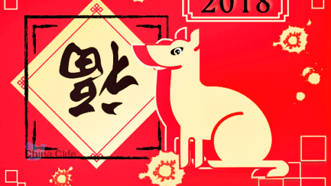 2018 The year of dog in China