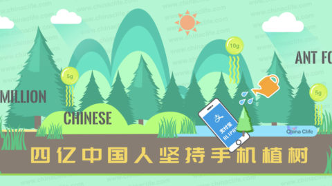 planting trees on mobiles, plant trees online, ant forest, alipay
