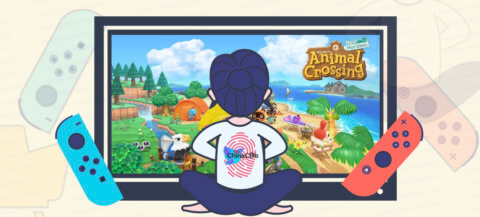 Full Mystery Islands Types in Animal Crossing New Horizons 2020