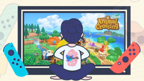 Full Mystery Islands Types in Animal Crossing New Horizons 2020