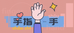 Remember Names of Hands Knuckles Fingers in Chinese Language with Ease