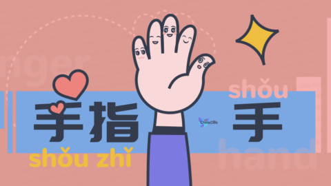 Remember Names of Hands Knuckles Fingers in Chinese Language with Ease
