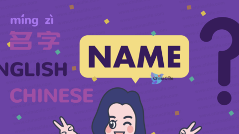 Transliterate Most Popular American Names into Chinese Names