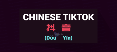 Chinese Word for TikTok and Stories