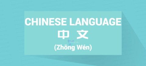 Chinese Word for Chinese Language