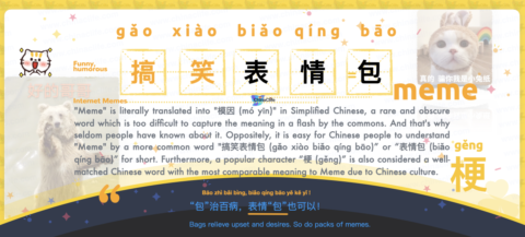 Say Memes in Chinese with Pinyin & Examples <br />| 搞笑表情包 (gǎo xiào biǎo qíng bāo) <br /> Free Chinese Word Card Study with Pinyin
