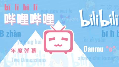 Top Bilibili Live Danmu Chats 2020, Bilibili Danmu Top