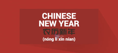 Correct Chinese word for Chinese New Year