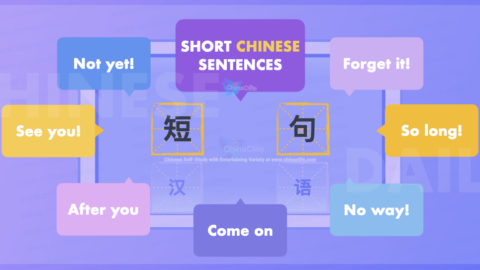 Daily-Use Short Sentences into Chinese