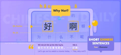 Say Why Not in both Spoken and Written Chinese with Flashcard and Chinese Sample Sentences